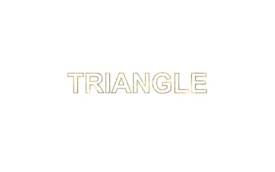 EXPOSITION TRIANGLE DU 10 AU 14 FÉVRIER 2021